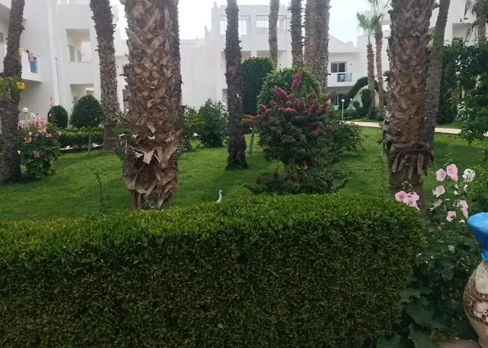 في ميراج